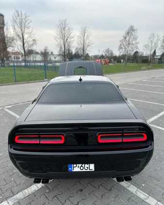 Dodge Challenger cena 235000 przebieg: 9000, rok produkcji 2021 z Września małe 254